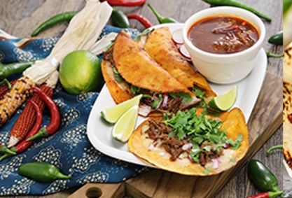 Birria Options